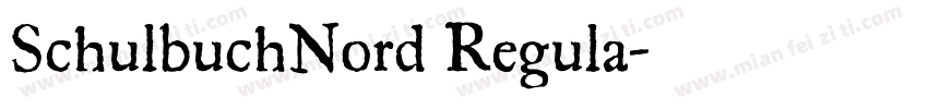 SchulbuchNord Regula字体转换